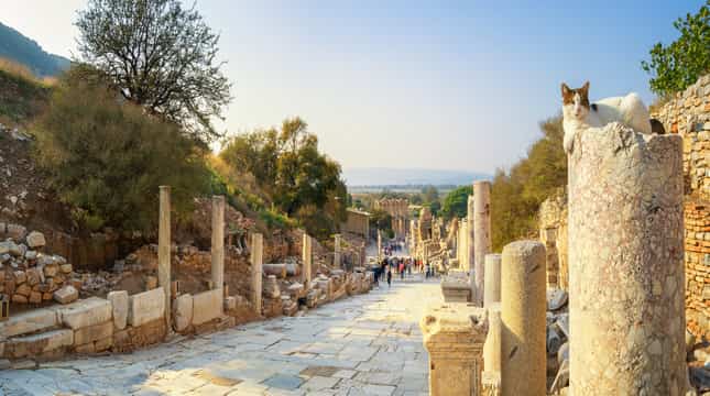 Ephesus Day Trip from Istanbul